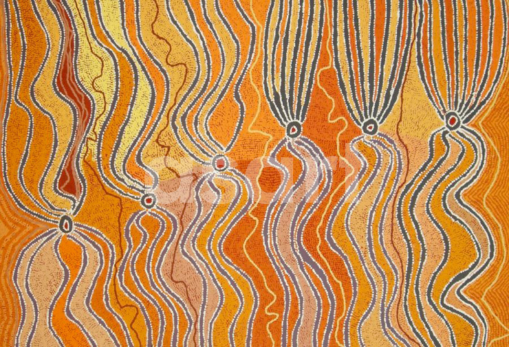 Wakiripirri Jukurrpa (Dogwood Tree Dreaming) 2009, by Aboriginal artist Liddy Napanangka Walker (Australia)
