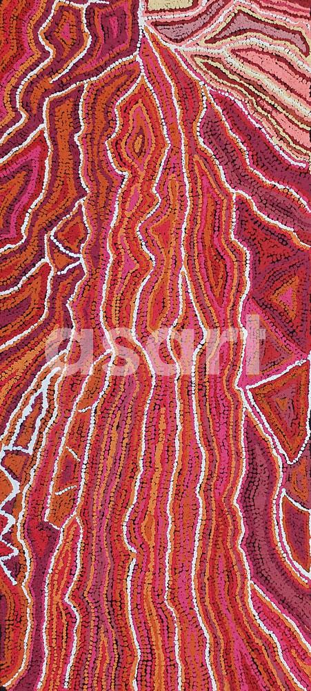 Mininypa Jukurrpa (Native Fuchsia Dreaming) - 107cm x 46cm, by Aboriginal artist Maggie Napaljarri Ross (Australia)