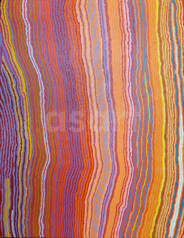 Lappi Lappi Jukurrpa (Lappi Lappi Dreaming) 2011, by Aboriginal artist Mary Anne Nampijinpa Michaels (Australia)